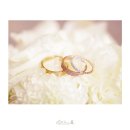 리틀프린스 이미지