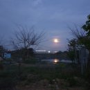 삽시도팬션나라 이미지