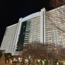 모아당구장 | 내돈내산 강원도 홍천 비발디파크 소노벨 리조트 숙박 후기ㅣ소노벨 B 소노캄 비교