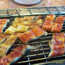 진성장어 이미지