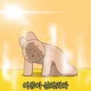 화이트애플피트니스 이미지