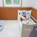 위드유애견 이미지