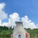 이시돌목장 이미지