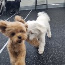 견학생스쿨 이미지