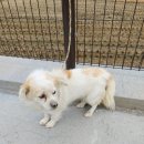 친환경로 이미지