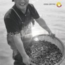 춘향골밥상 이미지