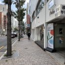 삐에드라 티스토리