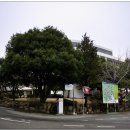 부산대학교 이미지