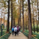 증산-013 이미지