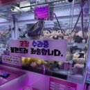 괴정인형뽑기 이미지