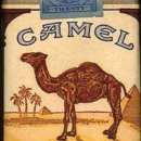 카멜 이미지
