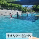 하천 | 2025년 정량천 생태하천 물놀이장 다녀온 후기