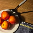 우리의계절 | 삼척 숙소 후기 에어비앤비 우리의계절 가을, 주차 : 최신 미운영 소식 업데이트, 우리의 계절은 이렇게...