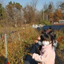 수곡농원 이미지