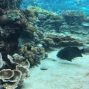 낭만하우스 이미지