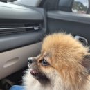 영덕바다펜션 이미지