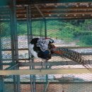 예당레이크하우스 이미지