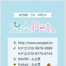 소소공 이미지