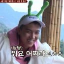 맹구리몰 | 2종 보통 운전면허 생생한 합격 후기 / 병점 운전면허 학원 <아시아자동차운전전문학원>