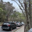 한라산 영실코스 진달래 실시간, 뚜벅이, 소요시간, 난이도, 물품보관함, 준비물