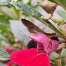 세븐일레븐 청학우리 이미지