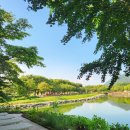 포레드노드 이미지