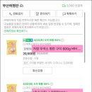 부산허명란 이미지