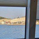 TS투어 대마도 1박2일 패키지 여행 후기 2일차(도노자키언덕/미우다해변/슈시강 단풍길)
