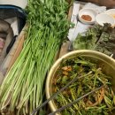 정거장식당 이미지