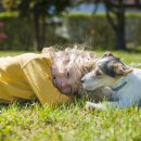 츄츄 동물병원 이미지