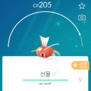 초롱식품 | 26y 1 잉어킹는(은) 튀어오르기를(을) 사용했다! (청계천 빛초롱 축제 후기)