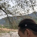 혁2라이프 | 후추랑 함께하는 캠핑♥