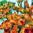 화림농장 이미지