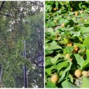 기동반-63 이미지