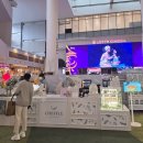 [2025 석촌호수 벚꽃축제] 일정·정보 찐후기 치플레 무료로 받는법