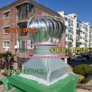 새(고경) 이미지