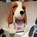 이마트 둔산점 이미지