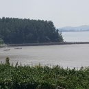 황금펜션민박 이미지