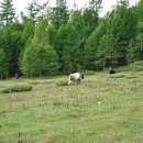 스카이골프장 이미지