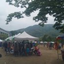 비상초등학교 이미지