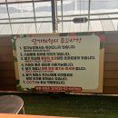 수도권 당일예약 딸기체험, 양주 하나농원 방문 후기
