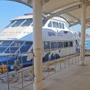 항만11로 | 부산항 친환경 항만안내선 ‘e-그린호’ 무료 승선 체험 후기