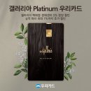 에이스침대갤러리아