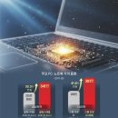 플레이션 이미지