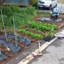 세지5일장 이미지