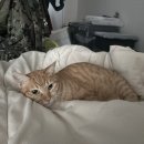 열린정문약국 이미지