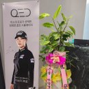 딤플스톤골프 이미지