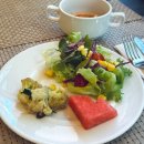 호텔 위드 | 태국 치앙마이 호텔 스테이위드님만 조식 2일 이용후기