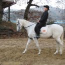 카우보이 - 중구 장충단로13길 43 | 카우보이