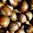 25년도 햇 약단밤&amp;생율&amp;공주밤&amp;국내산 땅콩!!! 이미지